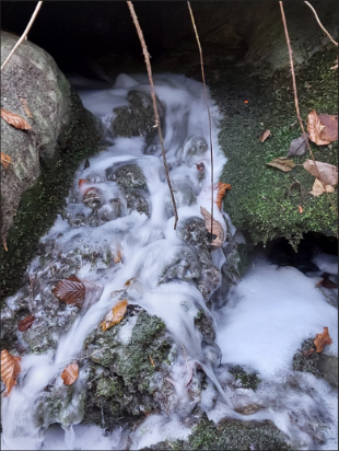 © Ville de Lausanne